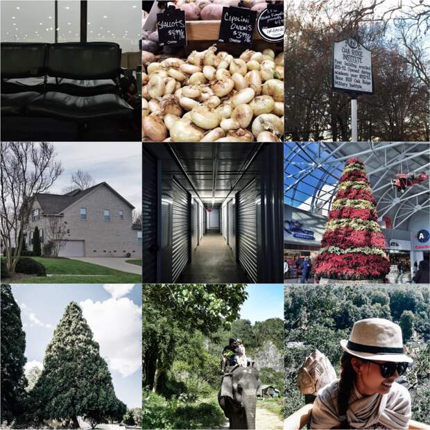 Insta Lately: Vol. 12 | SCATTERBRAIN