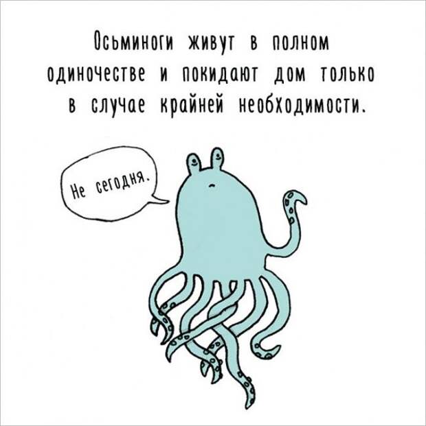 Интересные факты о животных в забавных рисунках (17 картинок)