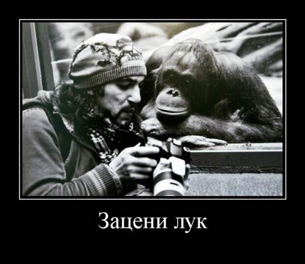 Пятничная подборка демотиваторов  демотиватор, юмор