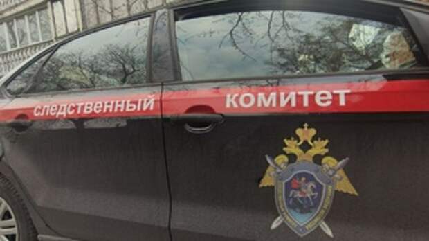 Следственный комитет / Фото: amic.ru