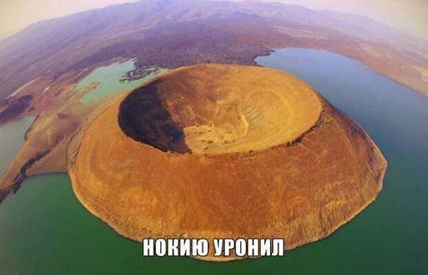 Картинки со смешными надписями Картинки со смешными надписями