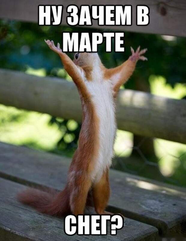 Прикольные картинки. Вечерний выпуск (52 фото)