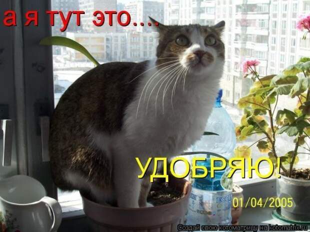 Давайте улыбаться вместе! :) (24улыбоки)