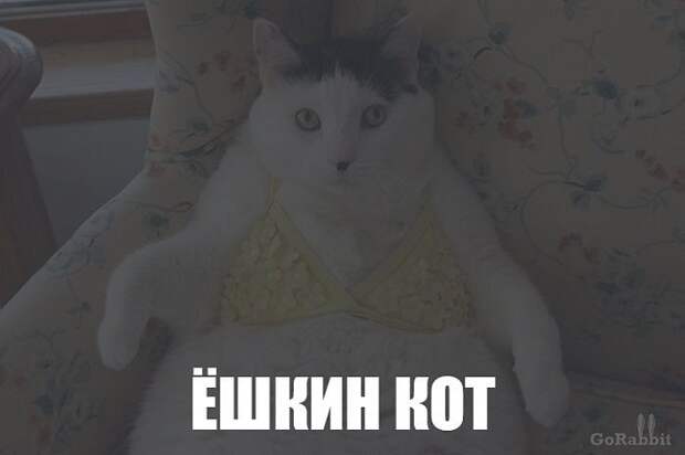 Смешные выражение, которые используют только в нашей стране (23 фото) Смешные выражение, которые используют только в нашей стране (23 фото)