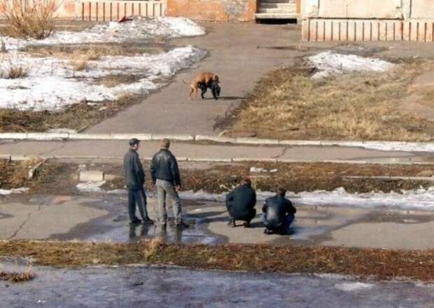 Удивительные снимки с российских просторов
