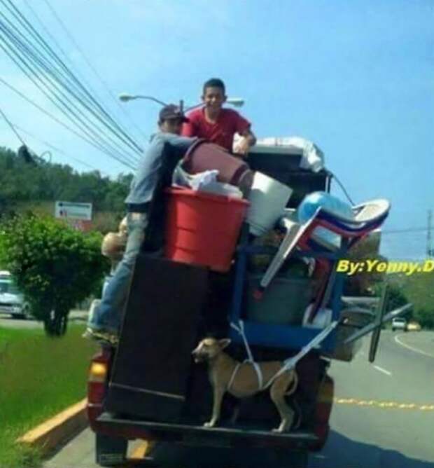 Картинки прикольные и настроение будет хорошим.