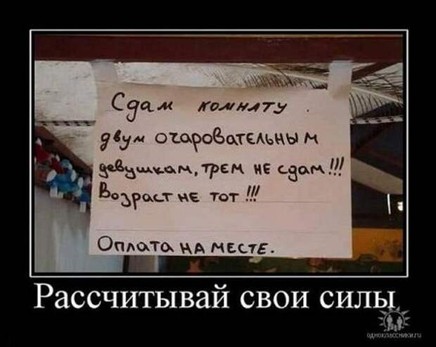 Мои любимые демотиваторы