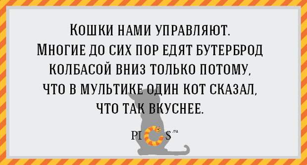 catowner07