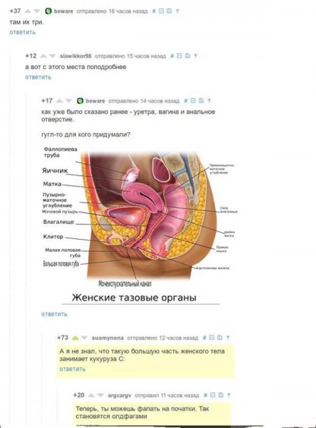 Прикольные комментарии и СМС-диалоги (32 фото)