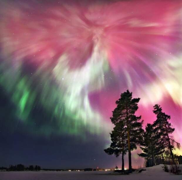 лучшие фото National Geographic 2015 года 