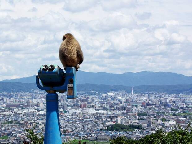 why-kyoto-was-chosen-as-the-best-city-in-the-world-23-photo-proofs-artnaz-com-14