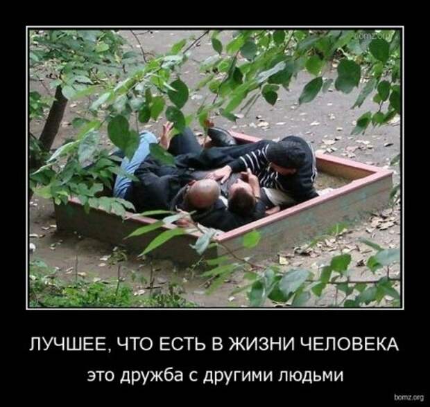 Демотиваторы, классные приколы в картинках на сегодня.