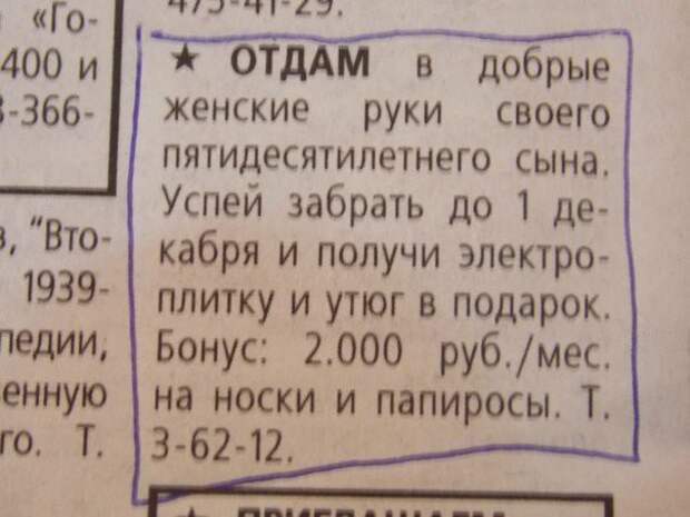 самые смешные брачные объявления 