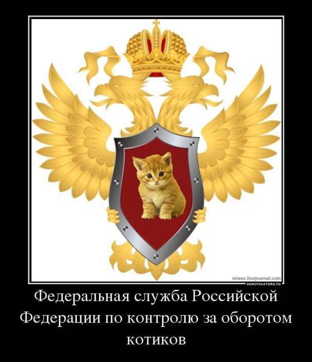 Демотиваторы демотиваторы, юмор