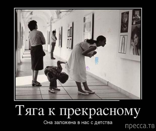 Самые злобные демотиваторы, часть 47 (37 фото)
