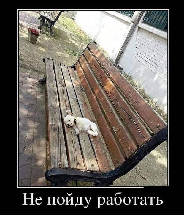 Демотиваторы (30 фото)