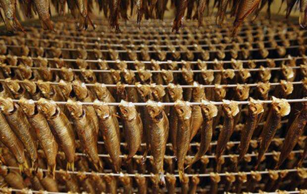 Минсельхоз может снять запрет на ввоз рыбпродукции из Латвии