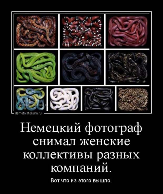 Прикольные демотиваторы (31 шт)