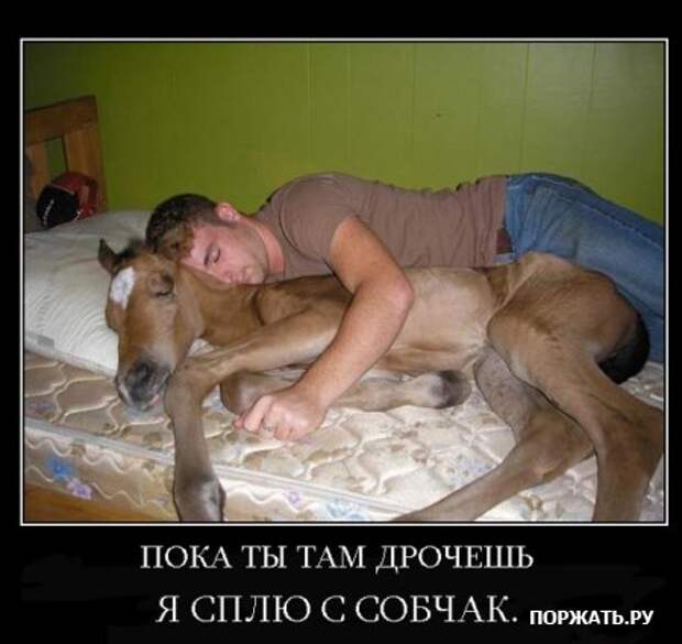 Отборные демотиваторы к понедельнику