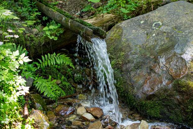 В Муроме более 100 человек отравились водой из родника