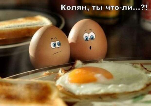 Картинки, юмор, приколы