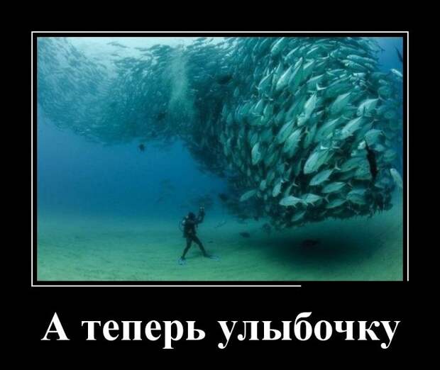 Демотиваторы (30 фото) Демотиваторы (30 фото)