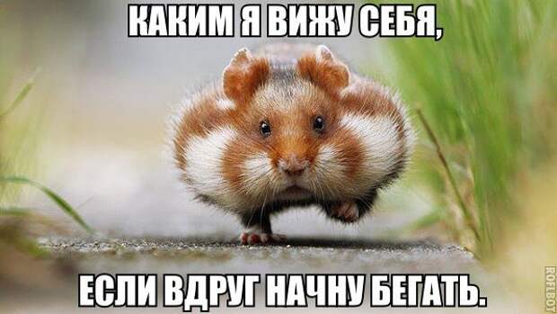 30 лучших картинок с фразами. Жмите Лайк!