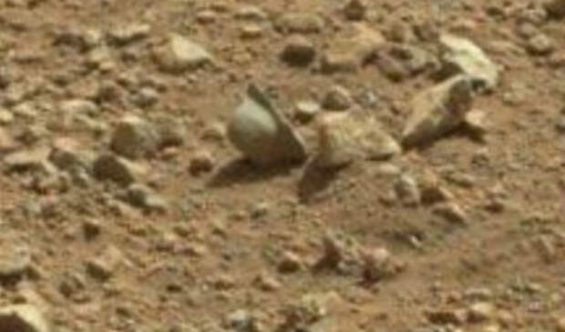 Марсоход Curiosity, планета Марс, На Марсе марсоход Curiosity заприметил каску гитлеровца
