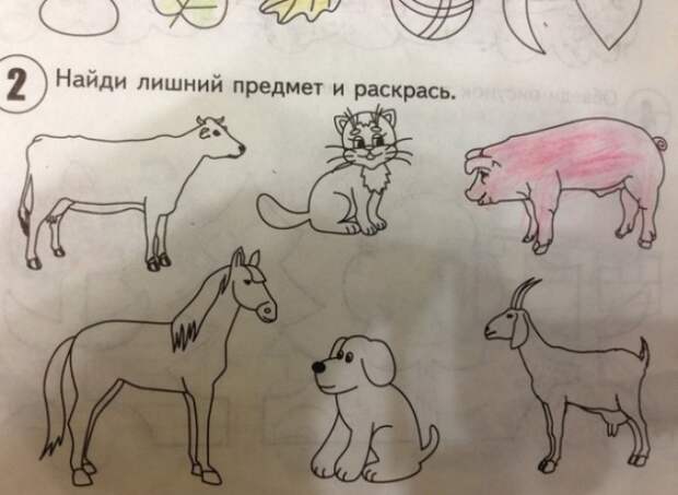 Забавные ляпы из школьных учебников (27 картинок ) Забавные ляпы из школьных учебников (27 картинок )