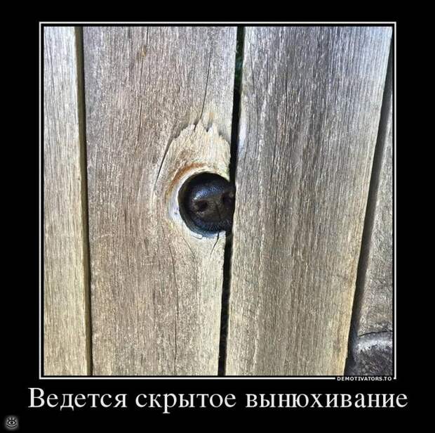Не сдавайся никогда! 42