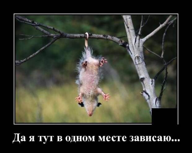 demotivatory-kartinki-smeshnye-kartinki-fotoprikoly