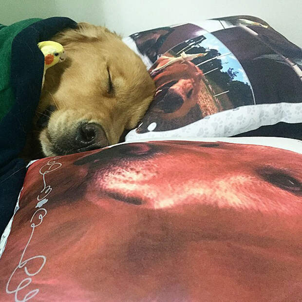 instagram.com