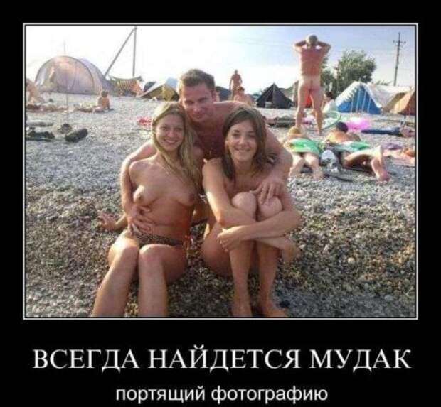 Демотиваторы про котэ и не только.