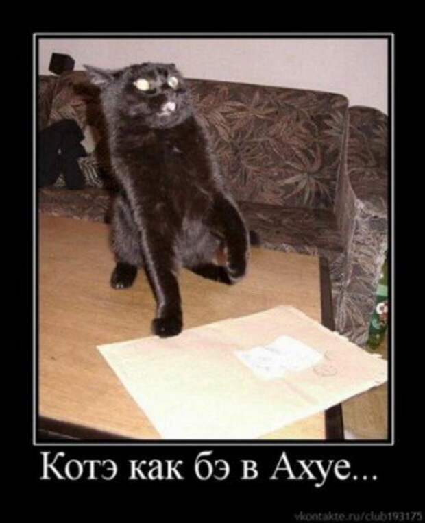 Димотиваторы прикол