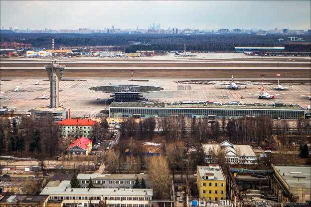 LYS_8315 LYS_8315