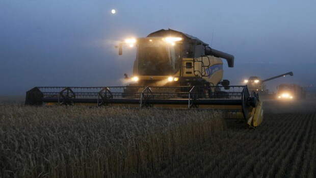 Россия становится крупнейшим экспортером пшеницы, нанося ущерб американским фермерам