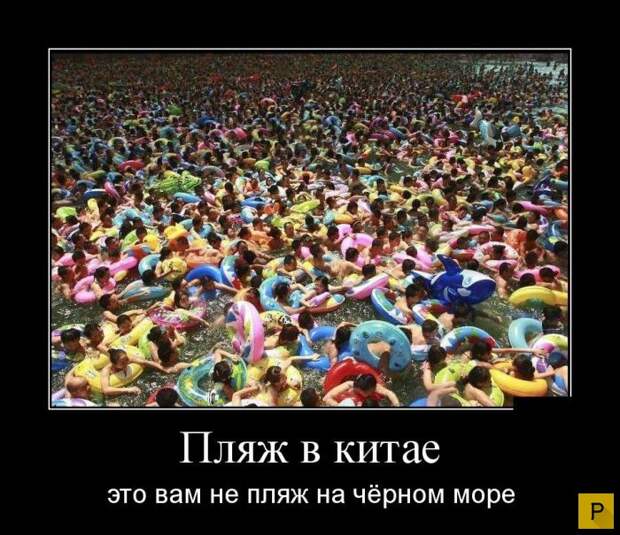 Зри в корень  (32 фото)