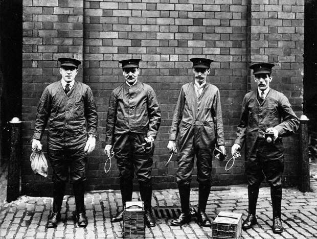 Ливерпуль. Портовые крысоловы, 1910 год жизнь, интересное, история