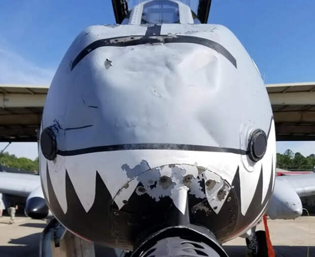 «Не бит, не крашен»: война с Ираном выявила старую проблему A-10 «Бородавочник»