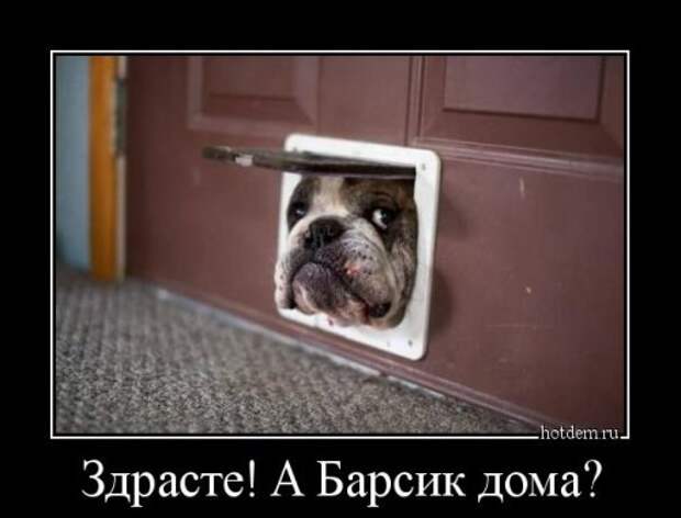 Отличные демотиваторы для хорошего настроения (12 фото)