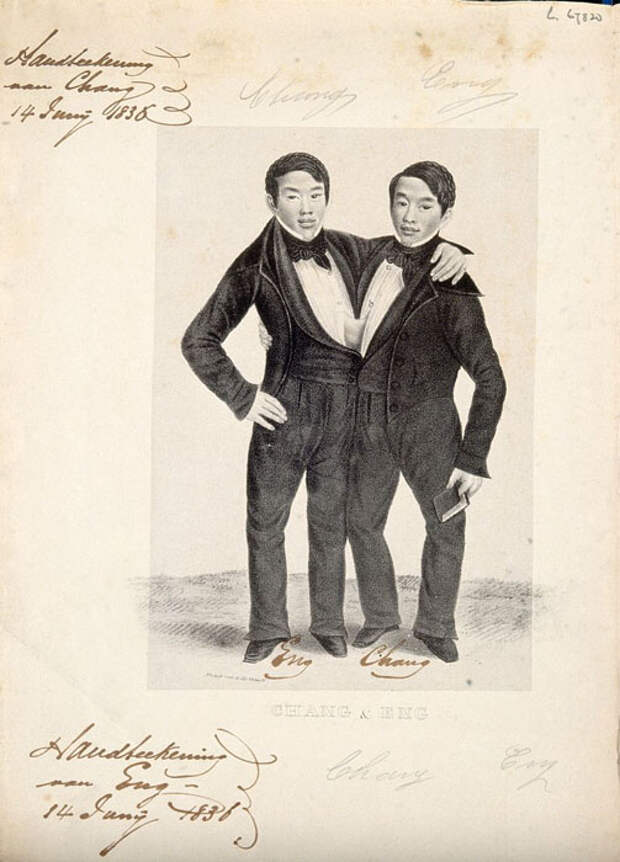 Чанг и Энг, рекламная литография, 1836 г.