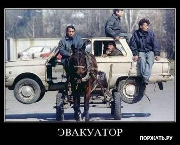 Демы свеженькие
