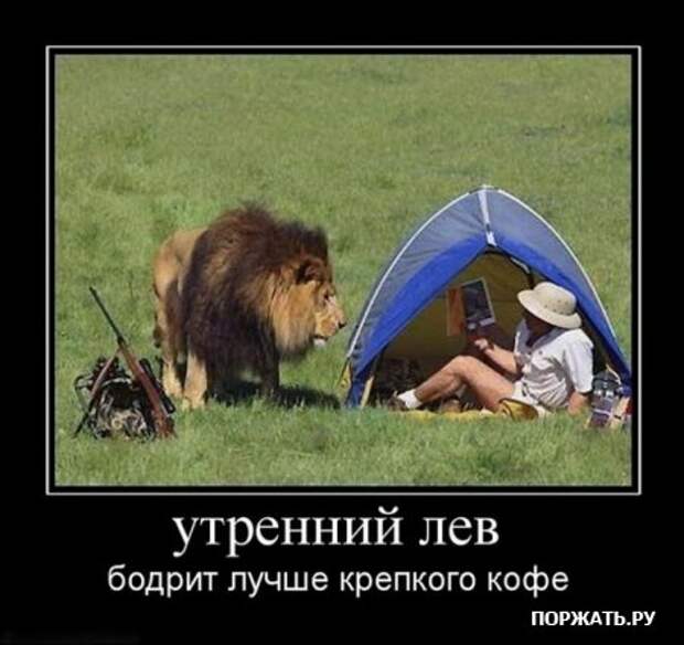 Демотиваторы фото и прикольный текст к ним.