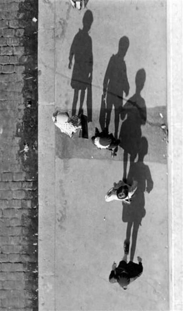 Лови момент или мастерство фотографа, подборка фотографий 2
