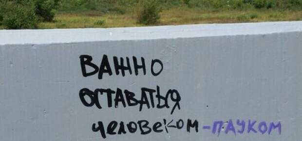 Настенная живопись XXI века (32 фото)