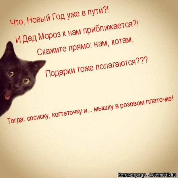 Мысли вслух - Ожидание Нового года