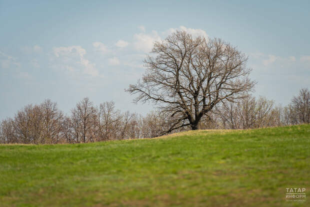 В апреле татарстанцев ждет короткая рабочая неделя