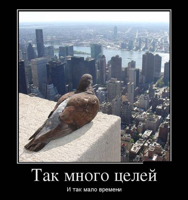Демотиваторы демотиваторы, прикол, смех, юмор