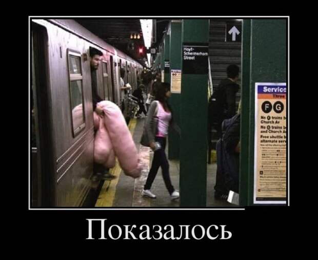 Показалось катинки, прикол
