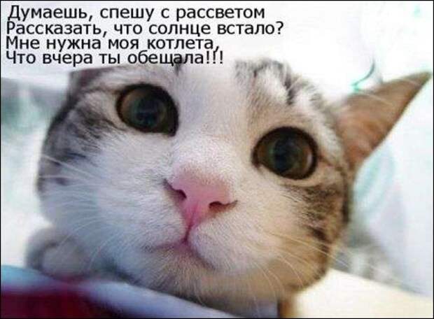 72088054_b7645fff2